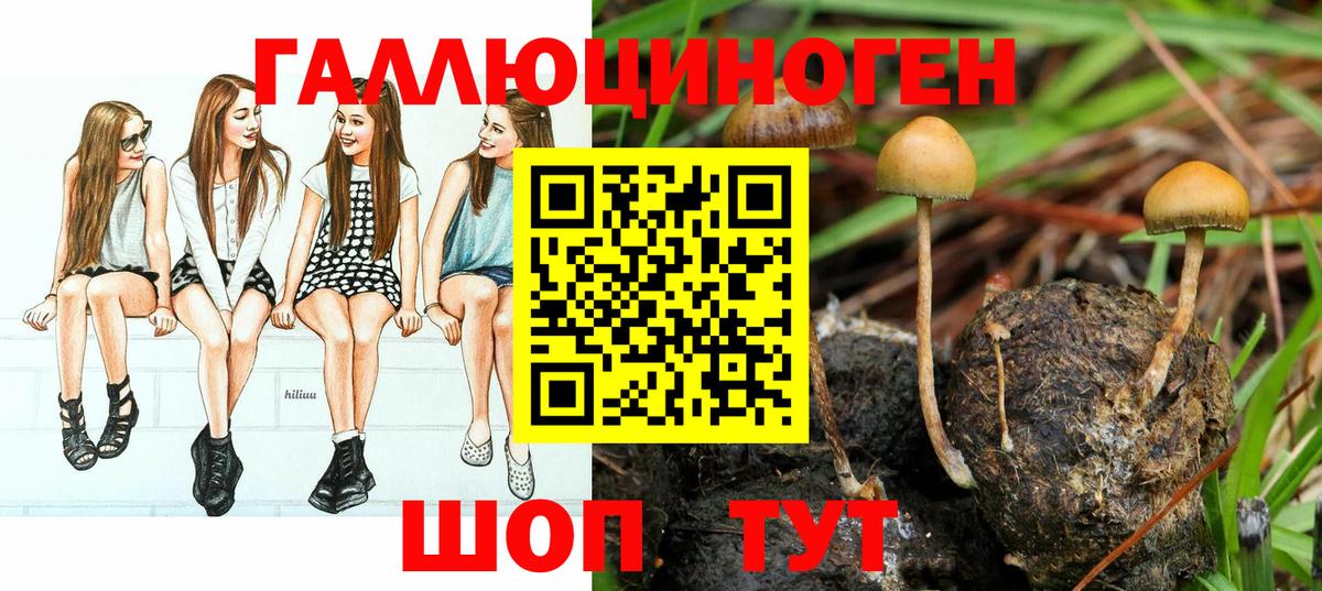 Галлюциногенные грибы MAGIC MUSHROOMS Ульяновск