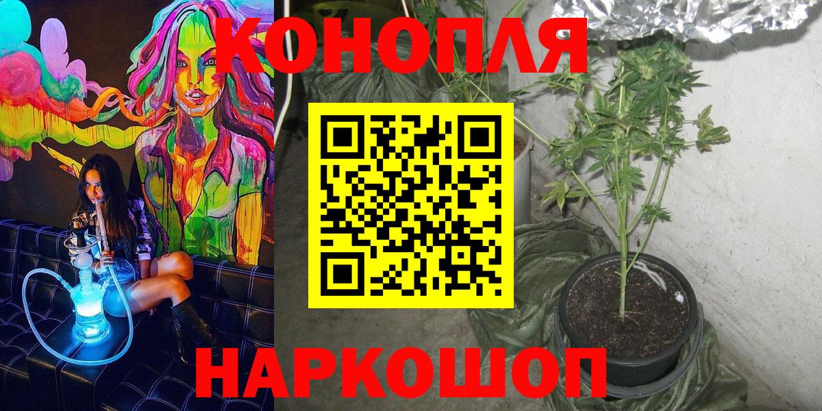 Конопля марихуана Ульяновск